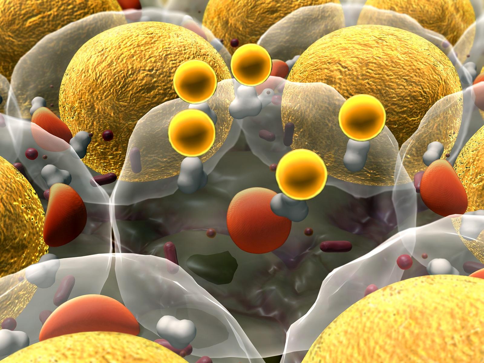 Cholesterol Molecule Small File