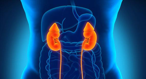 Kidney Disease
