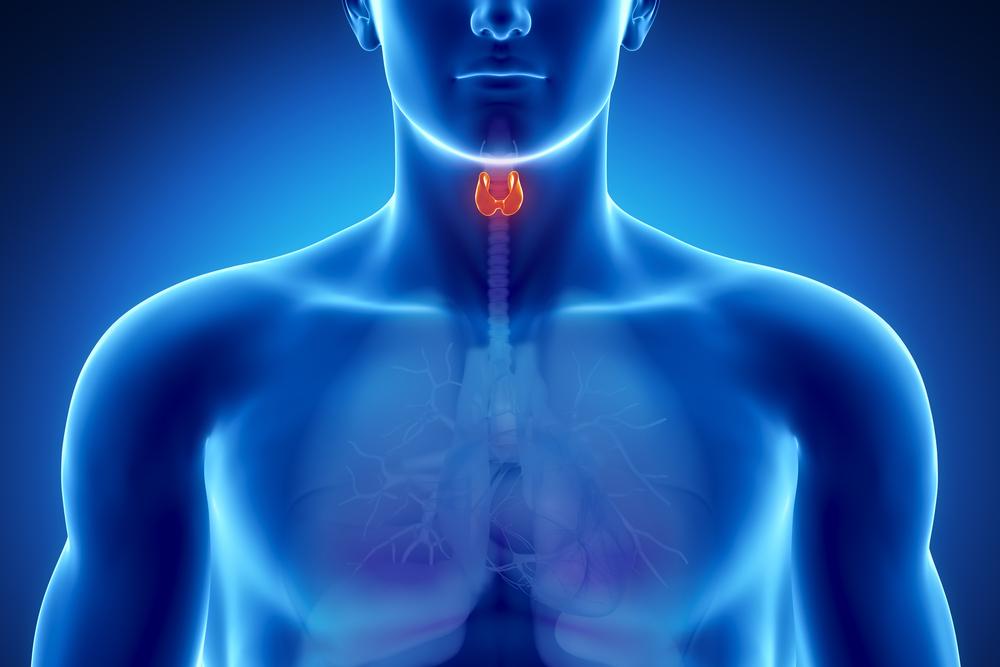Thyroid Disease